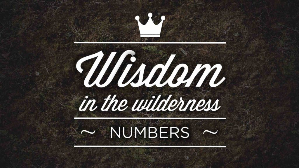 Wisdom in The Wilderness