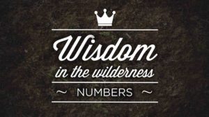 Wisdom in The Wilderness