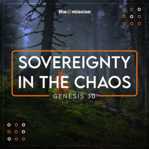 Genesis 29-30 - Sovereignty in the Chaos