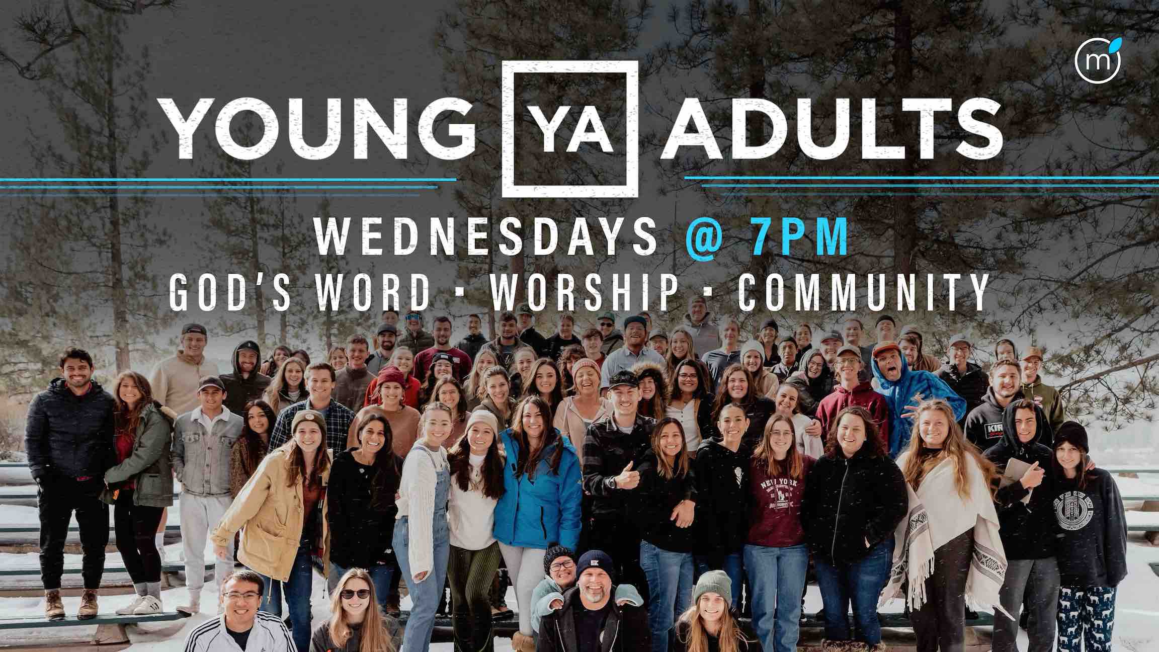 Young Adults, College Group, YA